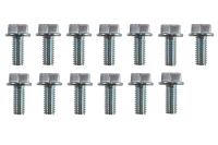 Transmission Pan Bolt Set for TH350 and TH400