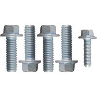 Oil Pump & Pickup Bolt Set [1997-2014 GM LS Engine]