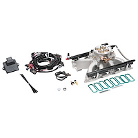 Pro-Flo 4 EFI System GM LS Gen III & Gen IV Cathedral Port Heads