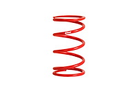 1000.250.0150 ERS Coil-Over Main Spring Standard Universal