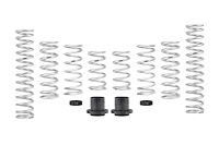 E85-209-001-01-22 Pro-UTV Performance Springs 2014-Up RZR XP 4 1000 EPS