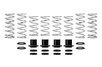E85-209-005-03-22 Spring Kit Polaris RZR XP 900 900cc For models w/rear trailing arm suspension 2011 to 2014 2 Seater