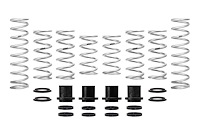 E85-209-009-03-22 PRO-UTV STAGE 2 SPRING