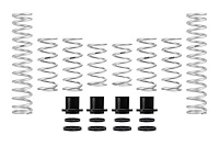 E85-209-011-02-22 PRO-UTV STAGE 2 SPRING SY