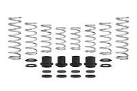 E85-209-012-05-22 PRO-UTV STAGE 2 SPRINGS