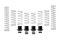 E85-209-019-02-22 Pro-UTV Performance Springs [Stage 2] Fits Late-Model Polaris RZR PRO XP Ultimate / Fox Dynamix