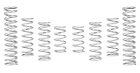 E85-212-006-02-22 Pro-UTV Performance Springs Stage 2
