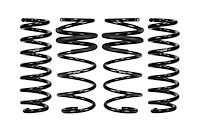 E10-201-004-01-22 LOWERING SPRINGS SET BLK