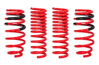 E10-27-004-01-22 Pro-Kit Lowering Springs 2015-2018 Challenger Scat Pack/SRT-8 - .8 in. Front/1.3 in. Rear Drop
