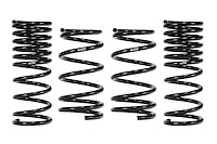 E10-82-097-01-22 PRO-KIT LOWERING SPRINGS