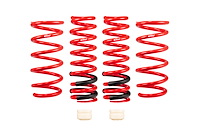 LOWERING SPRINGS LEXUS