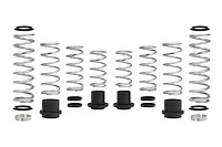 E85-209-022-02-22 PRO-UTV SPRING SYS STAGE2