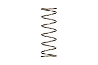 PR1600.500.0125 Platinum Rear Coil Spring [125 lbs./in., Length: 16 in.]