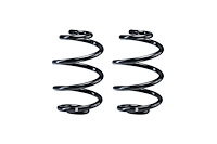 S FT SPRING 06-13 BMW