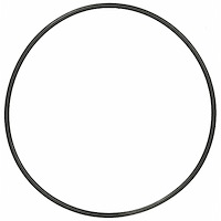 O-RINGS; 2002-1997 GM V6 2962cc 3.0L DOHC 24 Valve; 2002 GMT L/D V6 2962cc 3.0L DOHC 24 Valve; 1997-