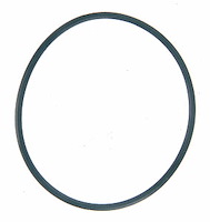 2007-2003 FOT V8 365 (6.0L OHV) Turbo Diesel VIN P (Therm O Ring)