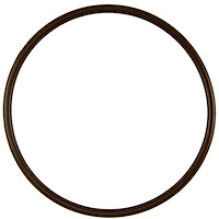 THERMOSTAT GASKET 2008-2004 CAD V6 217 3.6L DOHC VIN 7 CTS SRX STS Therm Seal