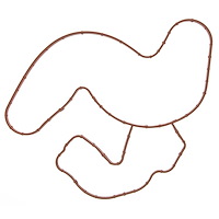 WATER PUMP GASKET