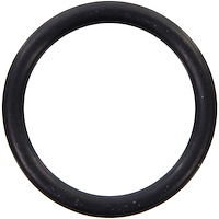 THERMOSTAT GASKET 2009 HYU L4 2.4L DOHC Therm O Ring