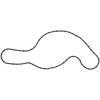 WATER PUMP GASKET