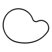 WATER PUMP GASKET