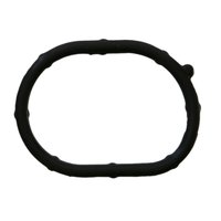 ENG COOLANT GASKET