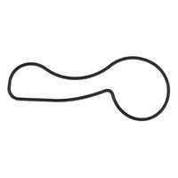 ENG WATER PUMP SEAL