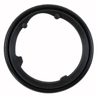THERMOSTAT GASKET