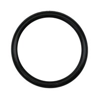 THERMOSTAT GASKET