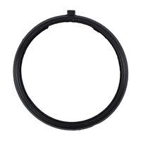 THERMOSTAT GASKET