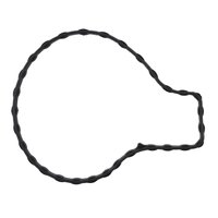 WATER PUMP GASKET