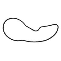 THERMOSTAT GASKET