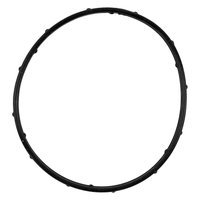 THERMOSTAT GASKET