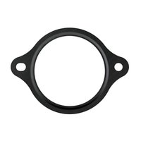 THERMOSTAT HOUSING GASKET