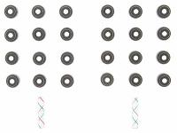 VALVE STEM SEAL SET 2005-2004 LEXUS/TOY V6 3.3L DOHC 3MZFE Int. & Exh.