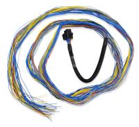 Engine Management Harness Set for FuelTech FT600/FT700 EFI System [10 ft.]
