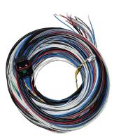 Engine Management "A" Harness for FuelTech FT450, FT550, and FT550LITE EFI Systems [10 ft.]