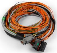 Harness for FT Input Expander
