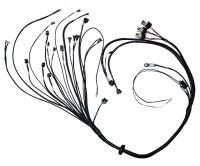 FT450 or FT550 ECU 4 Cylinder "A" Harness