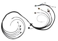 FT550 ECU 4 Cylinder "B" Expansion Harness