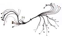 Complete GM Gen III LS Engine Wiring Harness for FuelTech FT550