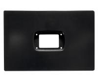 Dashboard Insert Panel for FT450/550