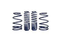 Lowering Spring Kit 2007-2014 SVT Mustang Shelby GT500 5.4L 4V