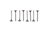 EXHAUST VALVE 5.2L COYOTE