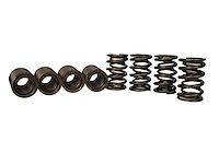TVS-1734 VALVE SPRINGS
