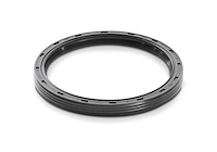 Rear Main Seal 1983-2001 302/5.0L