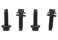 BEAD LOCK RING BOLT KIT