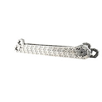 M6004GT350PC Timing Chains for Ford Coyote GT-350