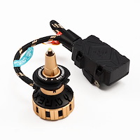 110008 Gold Ammo Panoramic LED Light Bulbs, H7