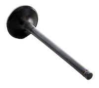 EM3461 Exhaust Engine Valve for 1998-2004 Isuzu, Acura, Honda 3.2L, 3.5L